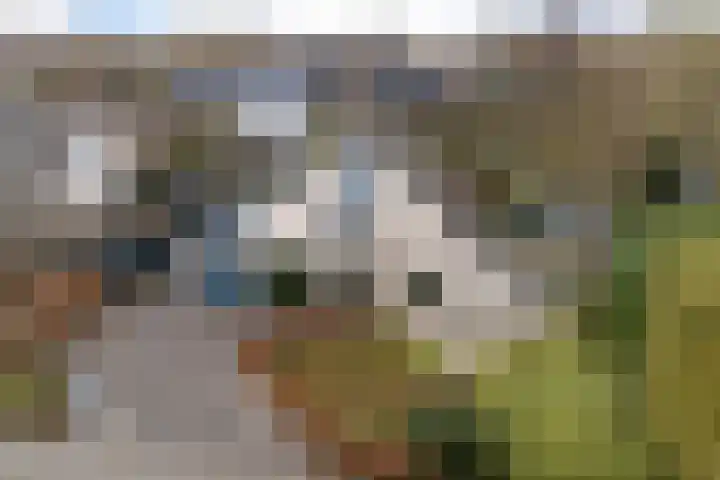 De Friso 6 d Drachten thumbnail 65