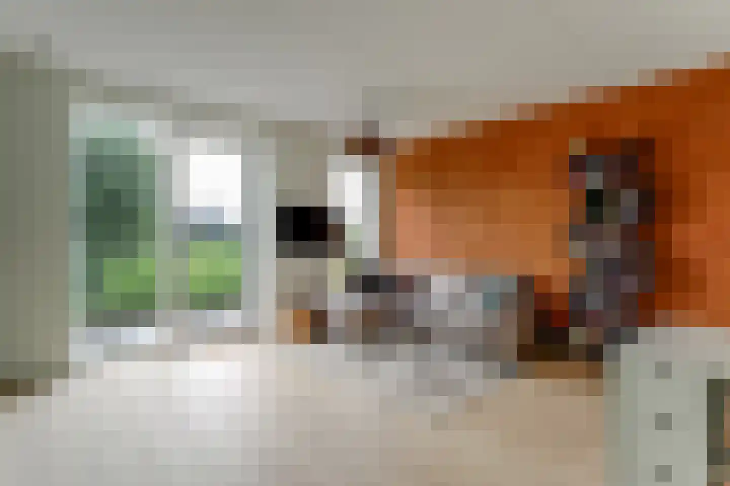 De Fruittuin 24 Venhuizen thumbnail 4