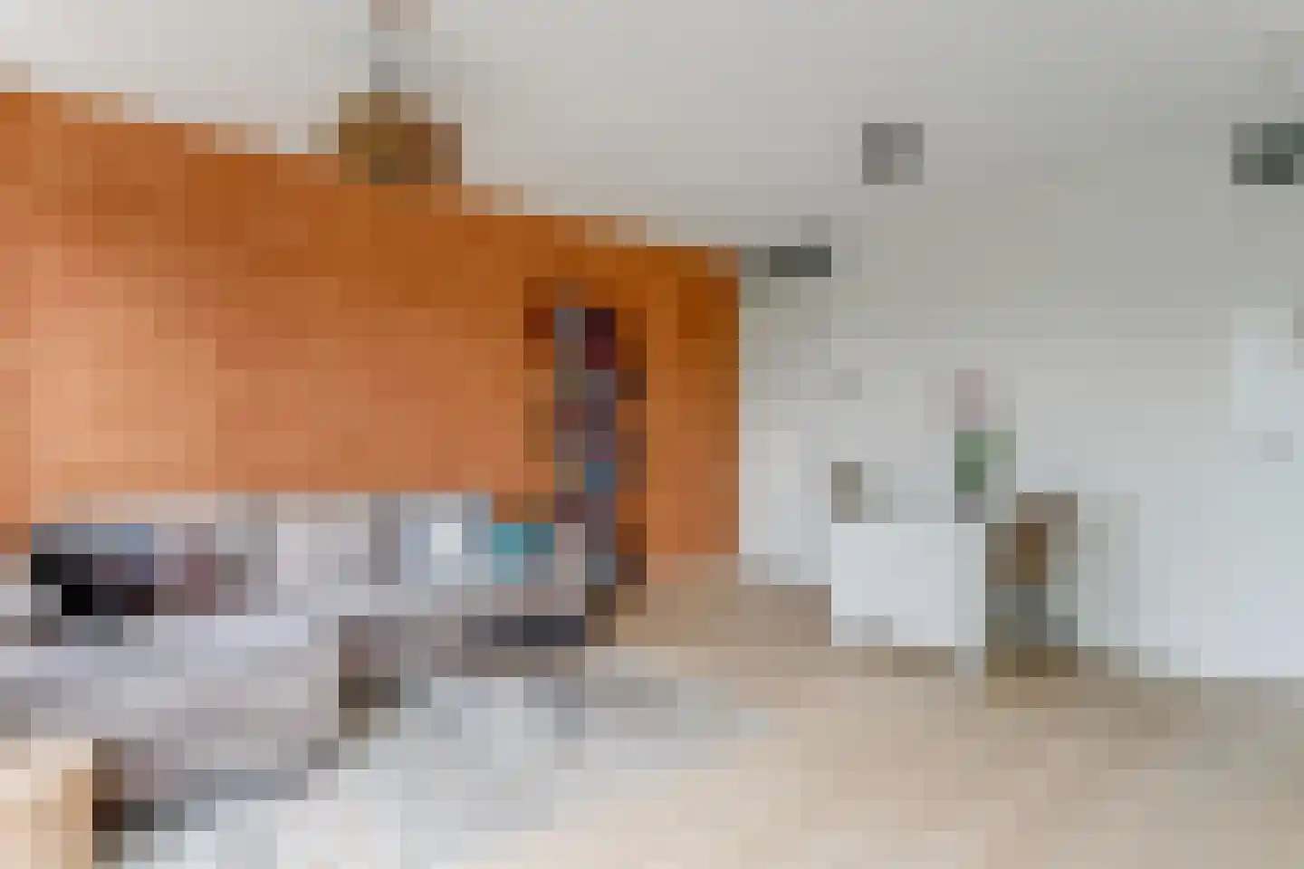 De Fruittuin 24 Venhuizen thumbnail 5