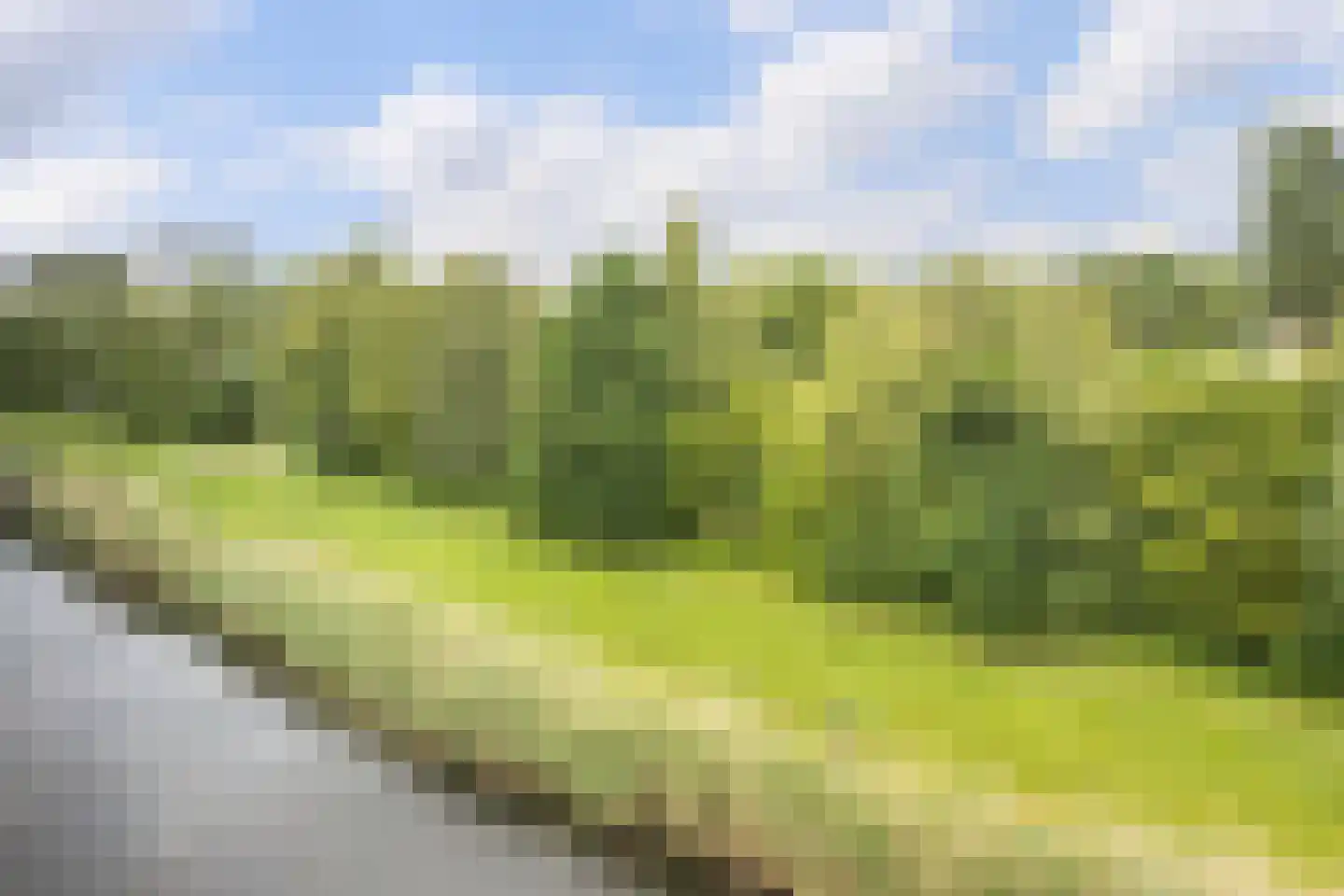 De Fruittuinen 116 Hoofddorp thumbnail 21