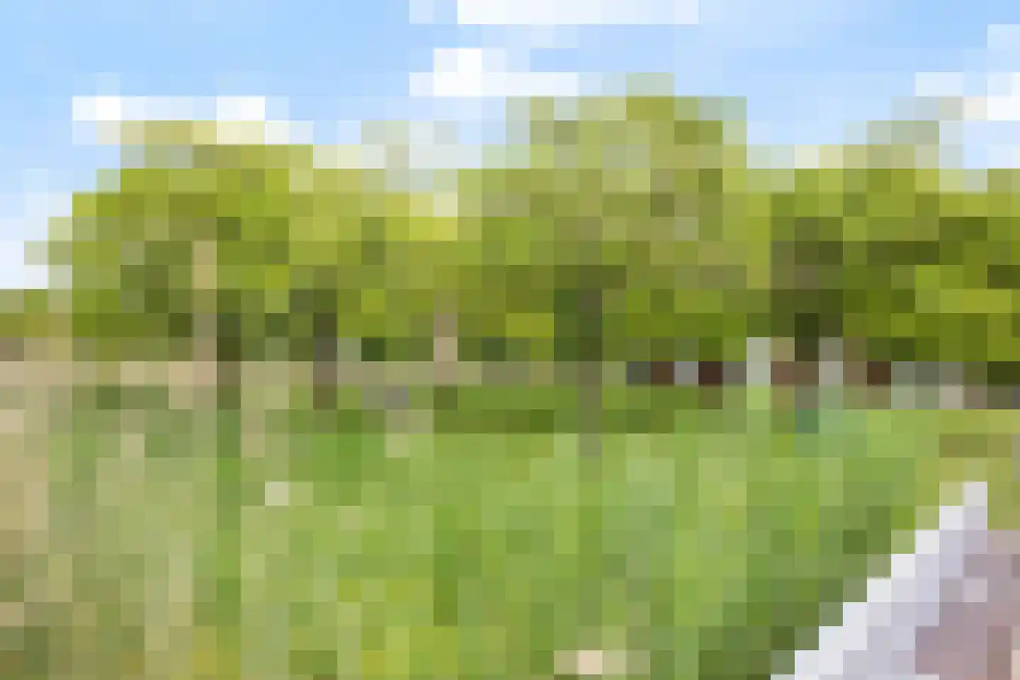 De Fruittuinen 116 Hoofddorp thumbnail 35