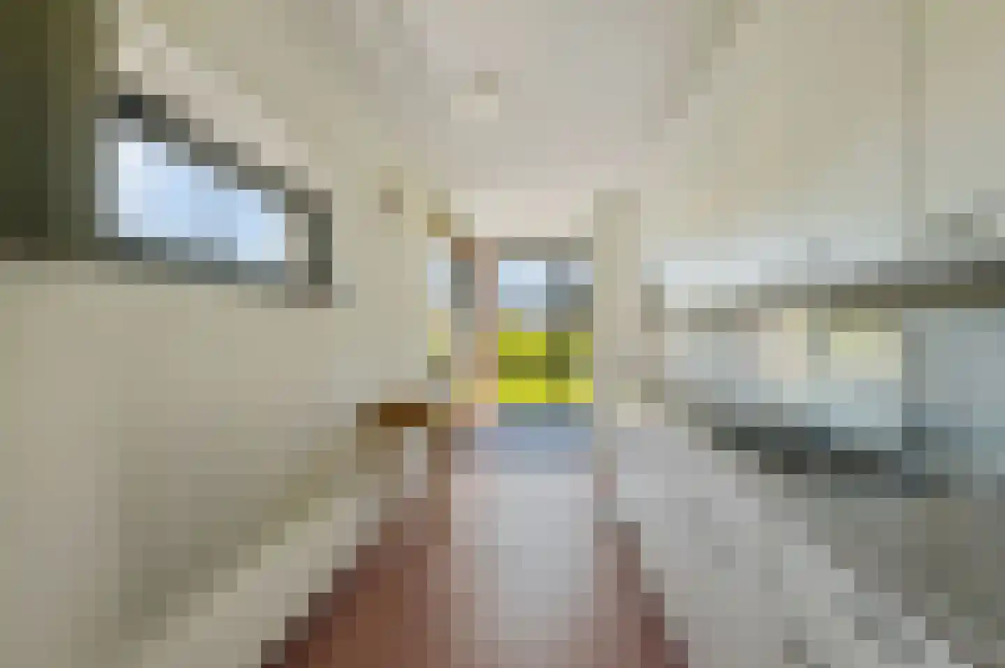 De Fruittuinen 124 Hoofddorp thumbnail 19