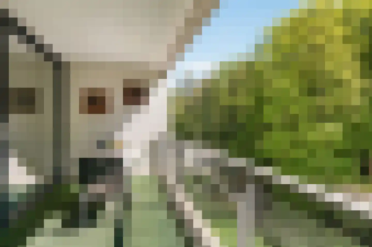 De Fruittuinen 124 Hoofddorp thumbnail 20