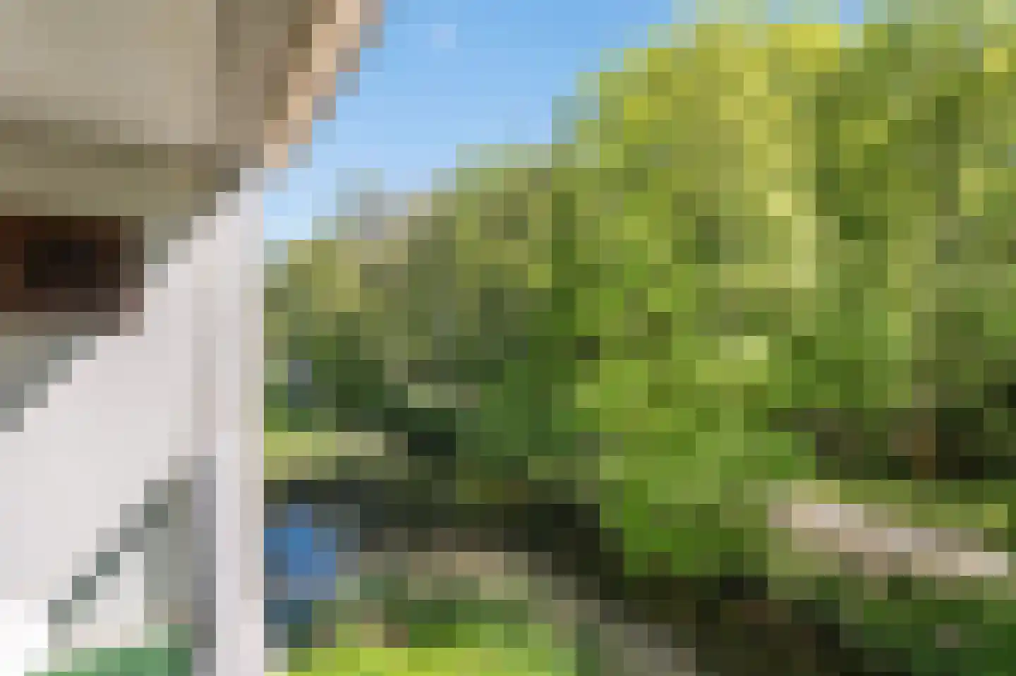 De Fruittuinen 124 Hoofddorp thumbnail 22