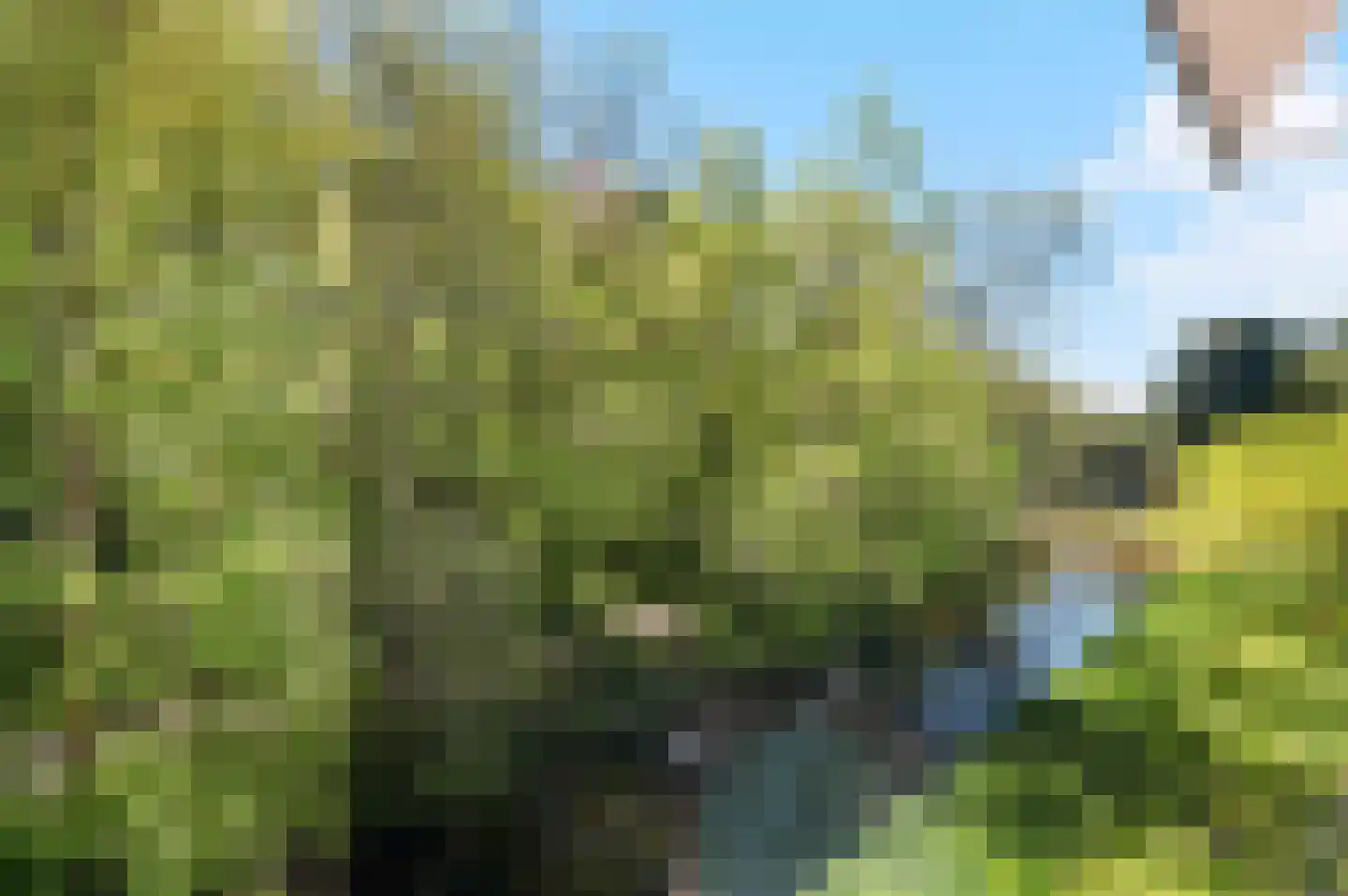 De Fruittuinen 124 Hoofddorp thumbnail 23