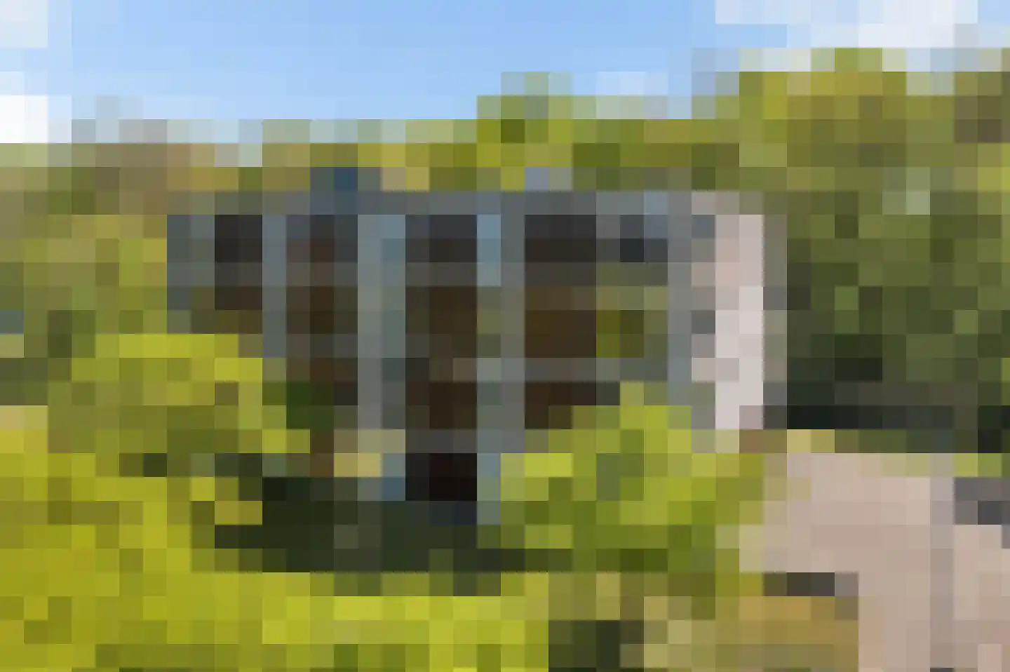 De Fruittuinen 124 Hoofddorp thumbnail 37