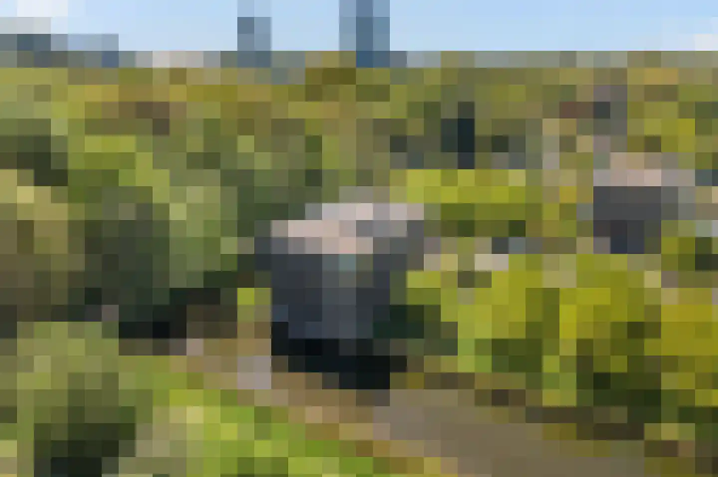 De Fruittuinen 124 Hoofddorp thumbnail 39