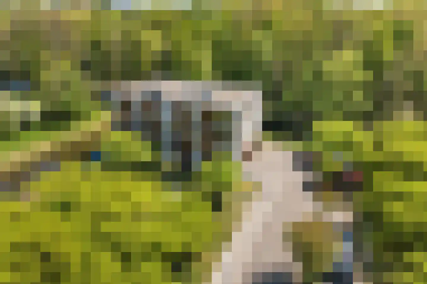 De Fruittuinen 124 Hoofddorp thumbnail 4