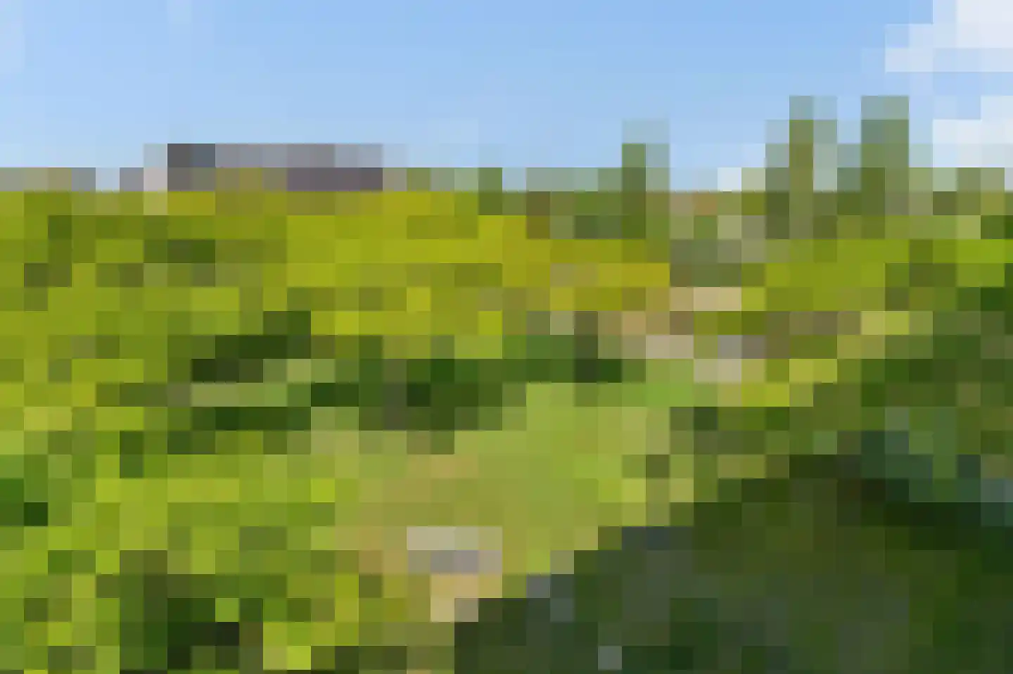 De Fruittuinen 124 Hoofddorp thumbnail 44