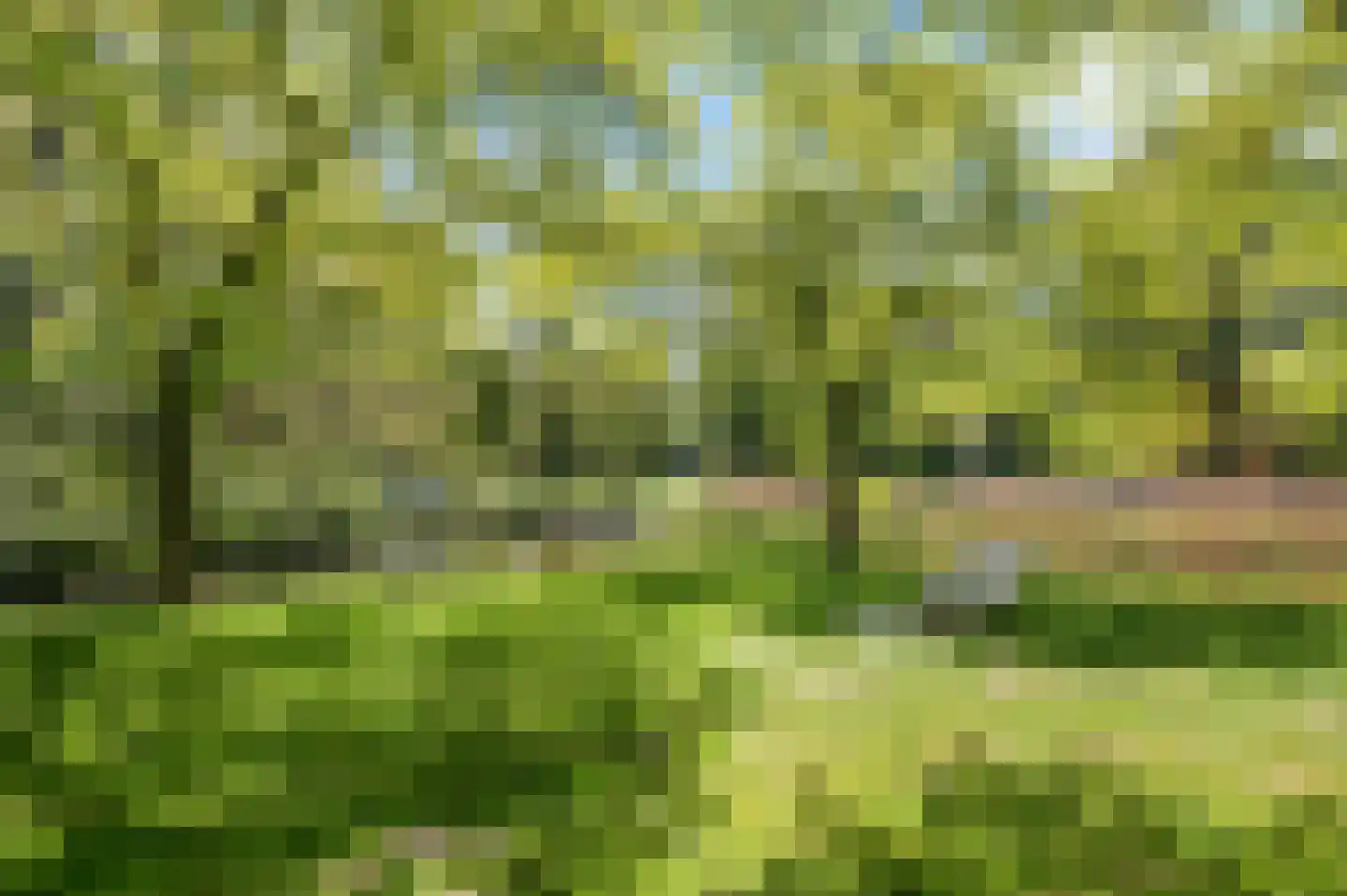 De Fruittuinen 124 Hoofddorp thumbnail 45