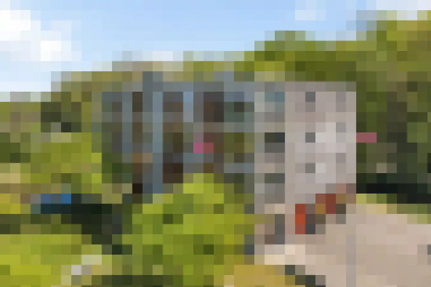 De Fruittuinen 124 Hoofddorp thumbnail 6