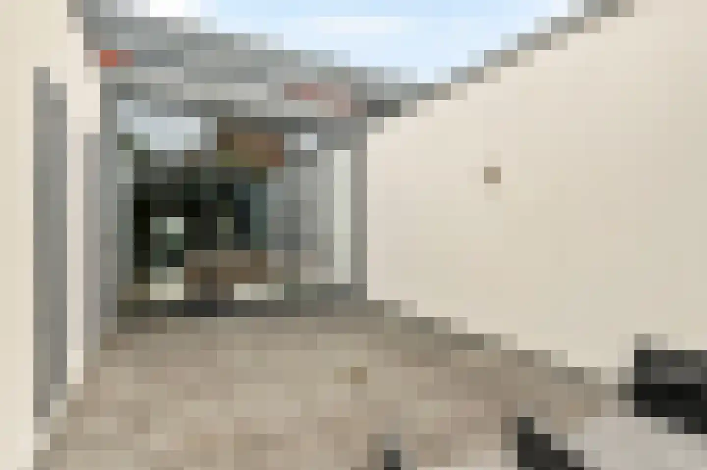 De Fruittuinen 15 Hoofddorp thumbnail 10