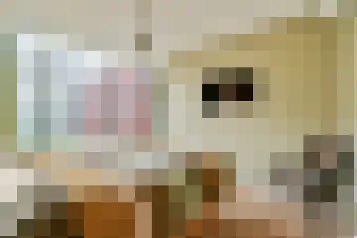 De Fruittuinen 17 Hoofddorp thumbnail 15