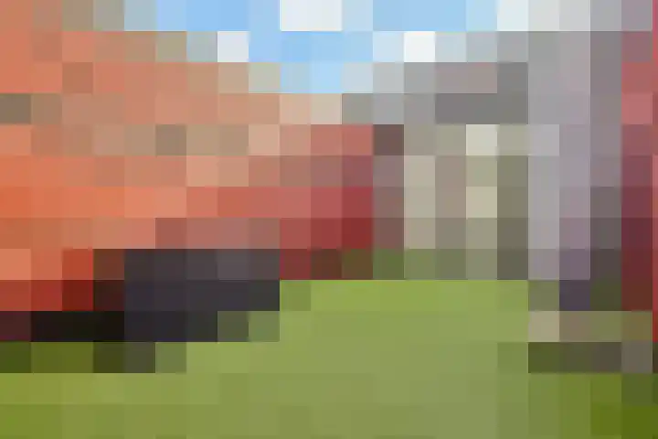 De Fruittuinen 17 Hoofddorp thumbnail 18