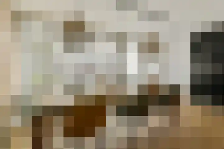 De Fruittuinen 17 Hoofddorp thumbnail 4