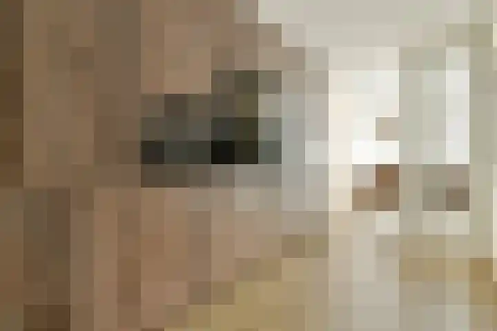 De Fruittuinen 17 Hoofddorp thumbnail 9