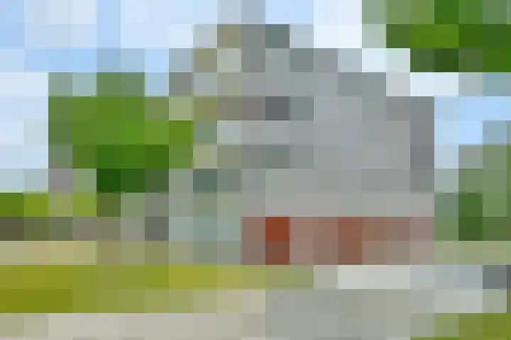 De Fruittuinen 42 Hoofddorp thumbnail 16
