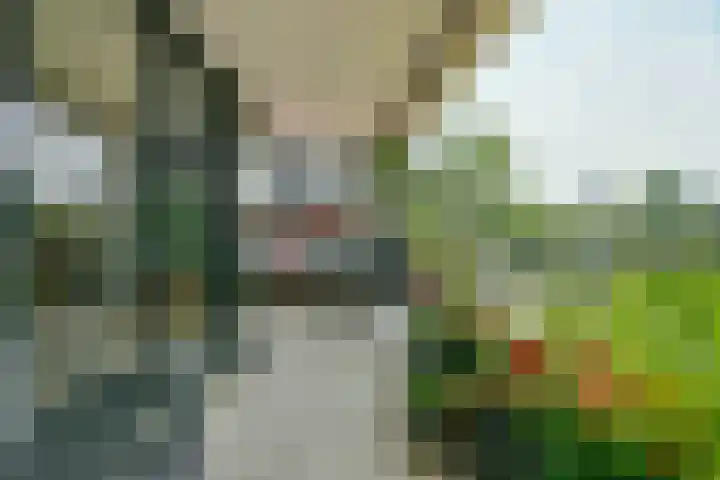 De Fruittuinen 42 Hoofddorp thumbnail 32