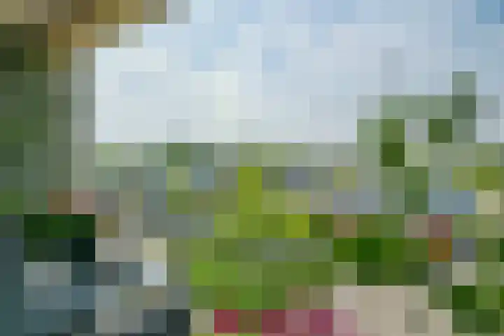 De Fruittuinen 42 Hoofddorp thumbnail 33