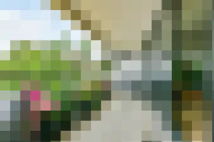 De Fruittuinen 42 Hoofddorp thumbnail 34