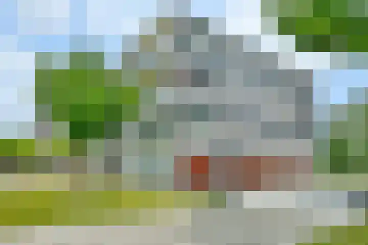 De Fruittuinen 42 Hoofddorp thumbnail 4