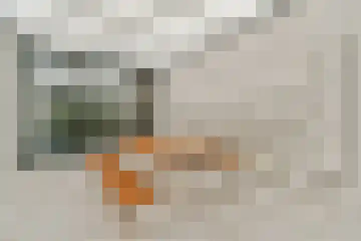 De Fruittuinen 45 Hoofddorp thumbnail 4