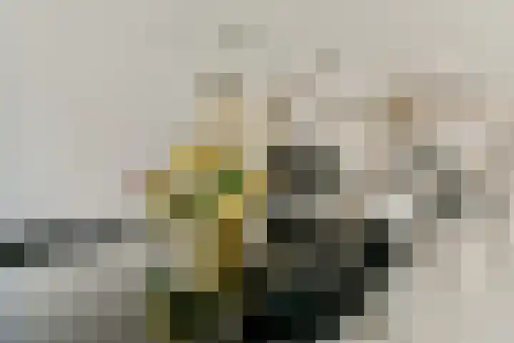 De Fruittuinen 45 Hoofddorp thumbnail 9