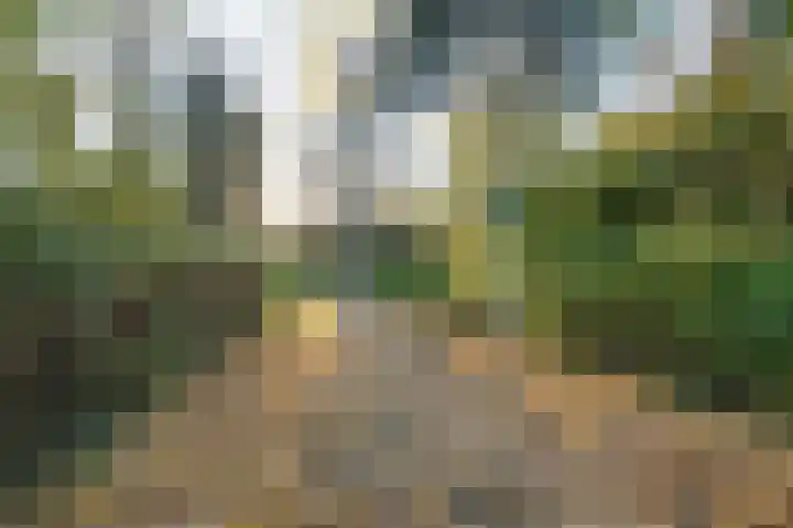 De Fruittuinen 75 Hoofddorp thumbnail 40