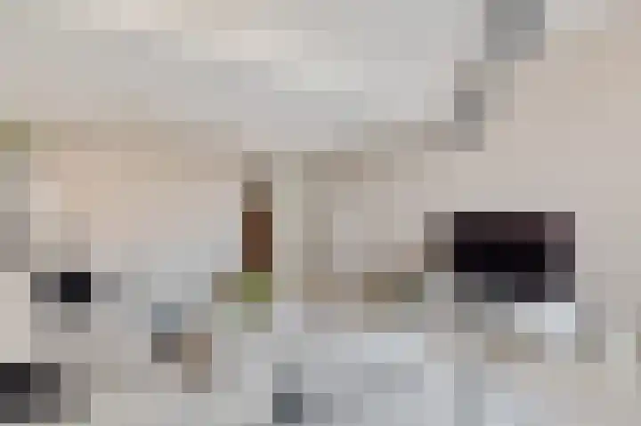De Fruittuinen 75 Hoofddorp thumbnail 8