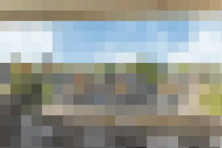 De Fruittuinen 96 Hoofddorp thumbnail 22