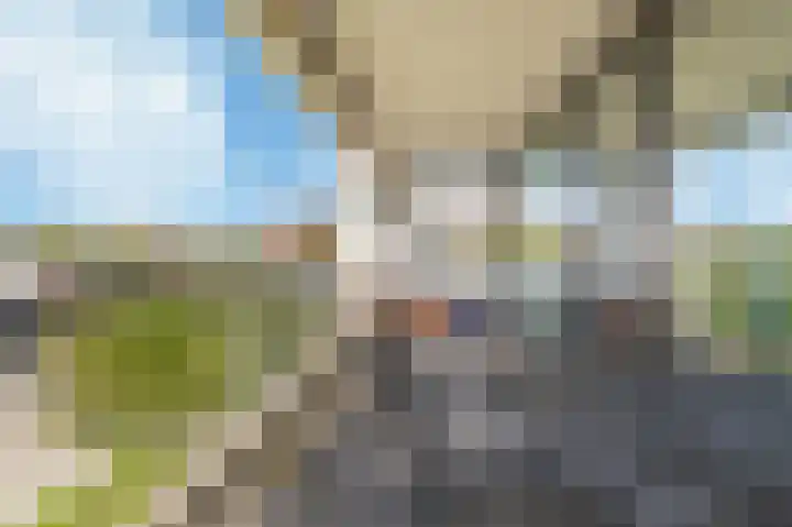 De Fruittuinen 96 Hoofddorp thumbnail 24