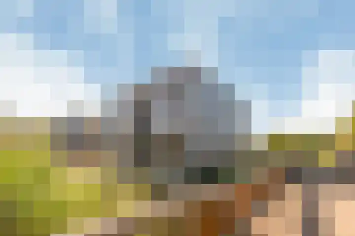 De Fruittuinen 96 Hoofddorp thumbnail 34