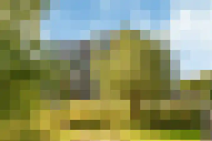 De Fruittuinen 96 Hoofddorp thumbnail 37