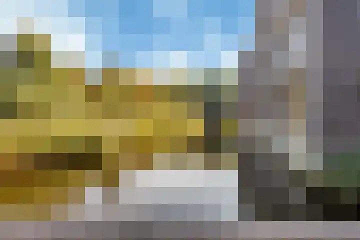 De Fruittuinen 96 Hoofddorp thumbnail 40