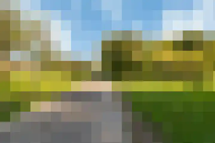 De Fruittuinen 96 Hoofddorp thumbnail 41