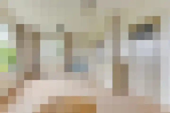 De Fuik 1 A Warmenhuizen thumbnail 10