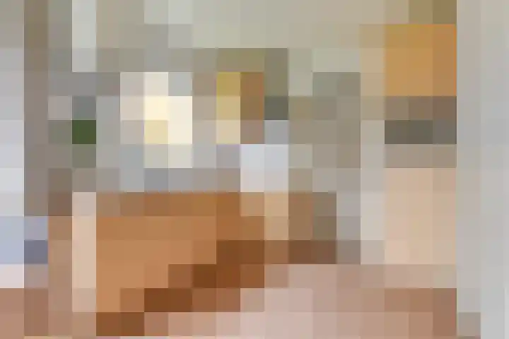 De Fuik 1 A Warmenhuizen thumbnail 12
