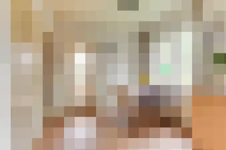De Fuik 1 A Warmenhuizen thumbnail 13