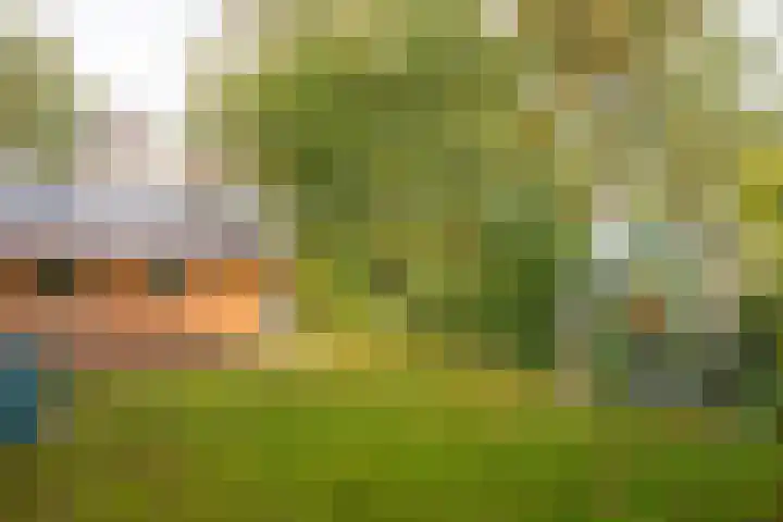 De Fuik 1 A Warmenhuizen foto 3