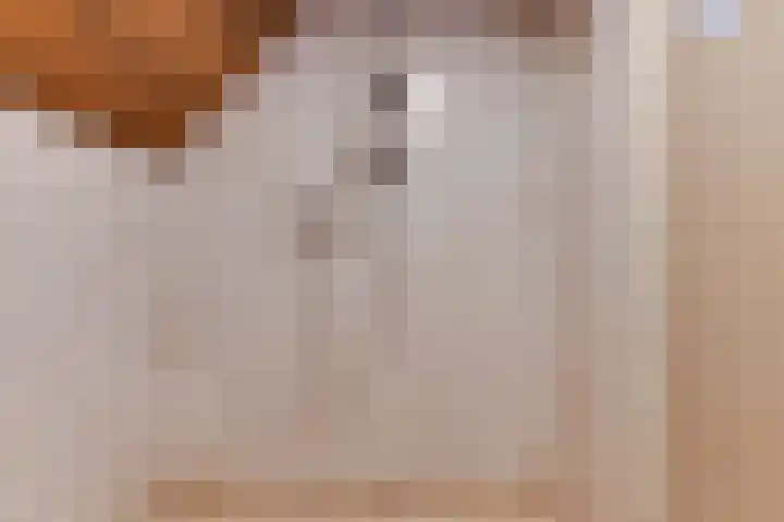 De Fuik 1 A Warmenhuizen thumbnail 32