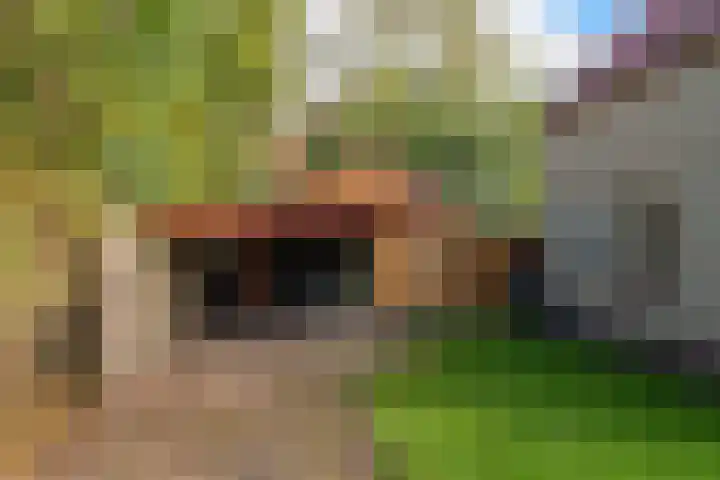 De Fuik 1 A Warmenhuizen thumbnail 39