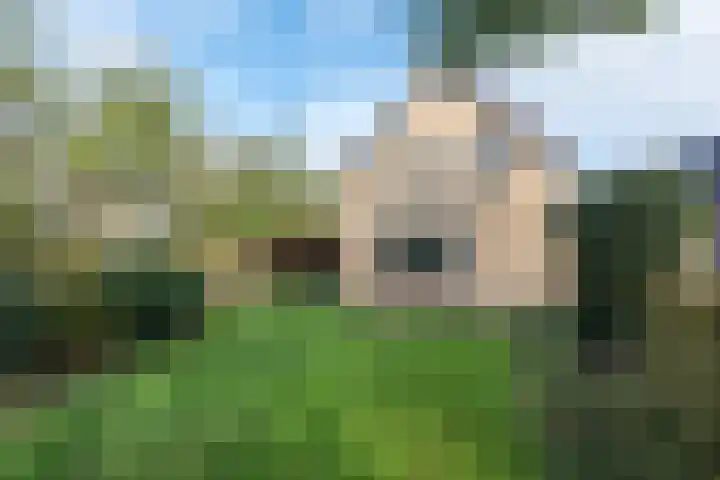 De Fuik 1 A Warmenhuizen thumbnail 4