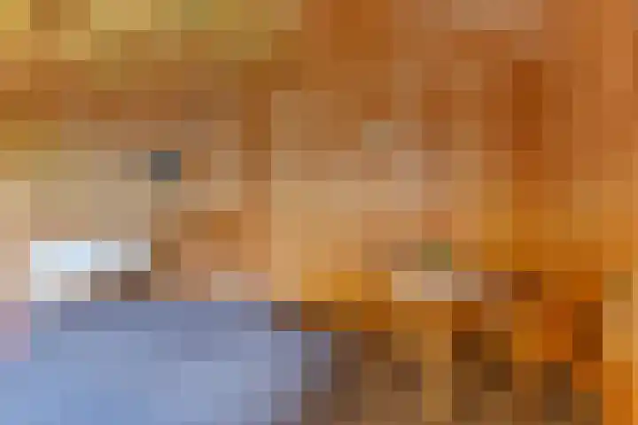De Fuik 1 A Warmenhuizen thumbnail 42