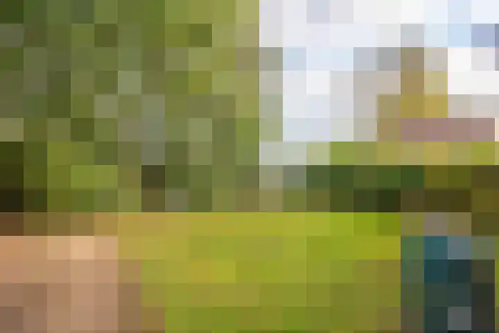 De Fuik 1 A Warmenhuizen thumbnail 46