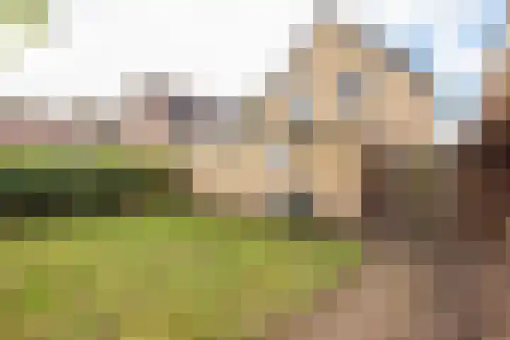 De Fuik 1 A Warmenhuizen thumbnail 47