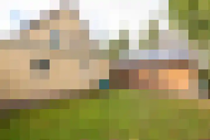 De Fuik 1 A Warmenhuizen thumbnail 48