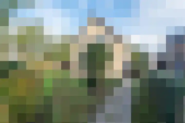 De Fuik 1 A Warmenhuizen thumbnail 5