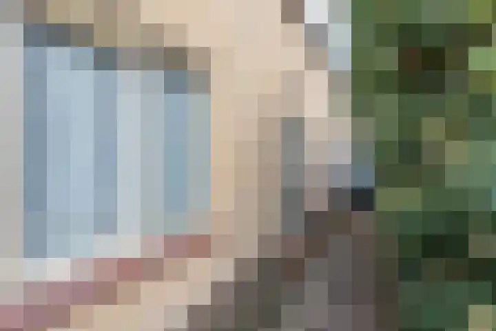 De Fuik 1 A Warmenhuizen thumbnail 6