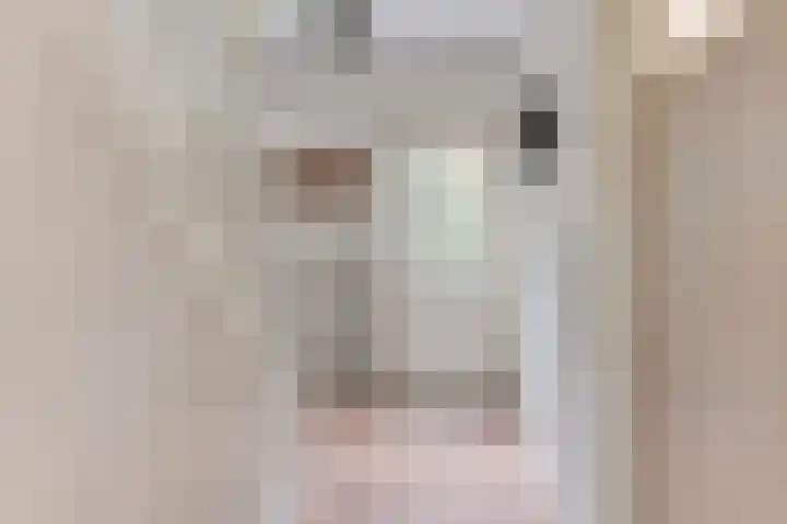 De Fuik 1 A Warmenhuizen thumbnail 7