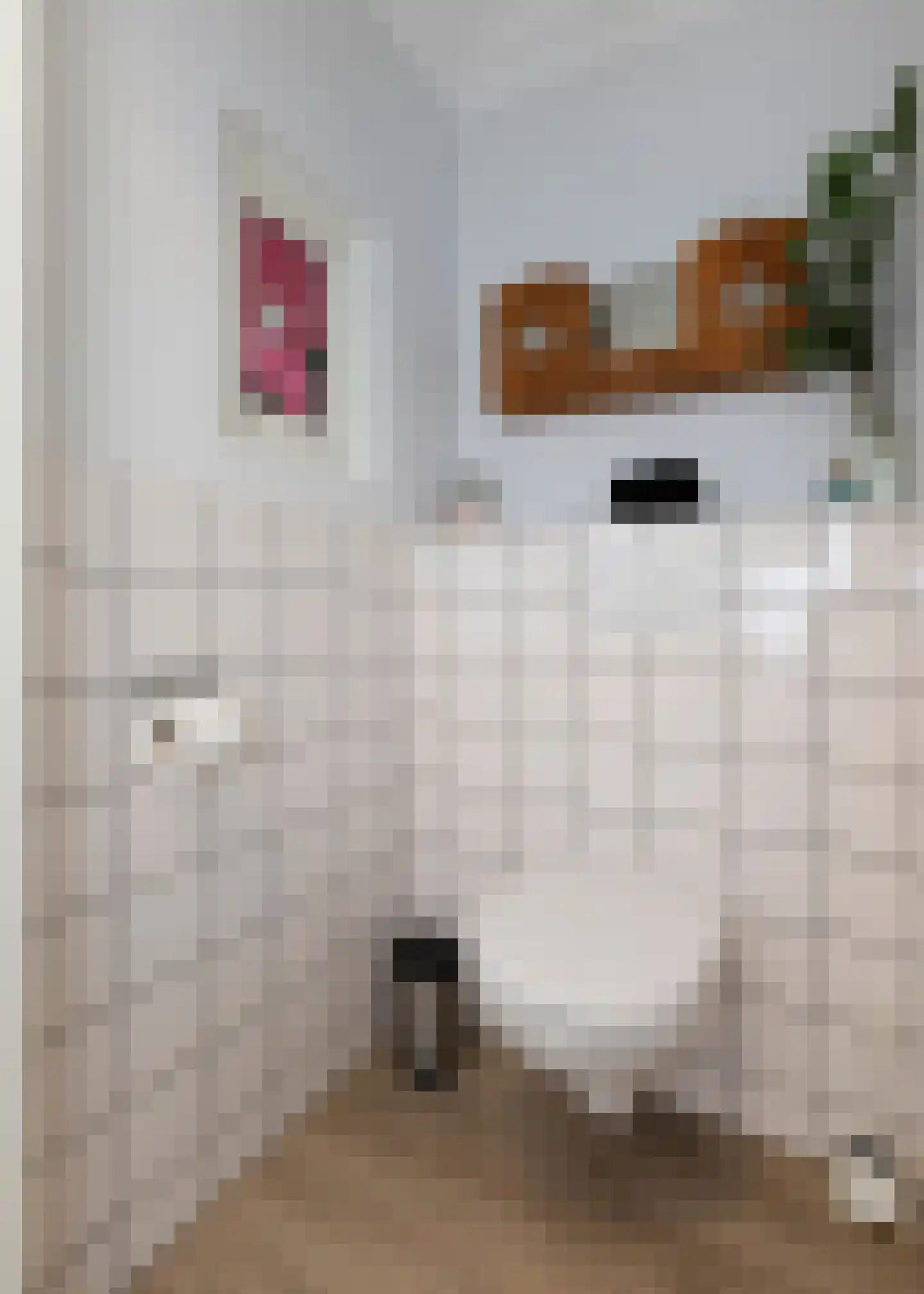 De Fuik 11 Warmenhuizen thumbnail 15